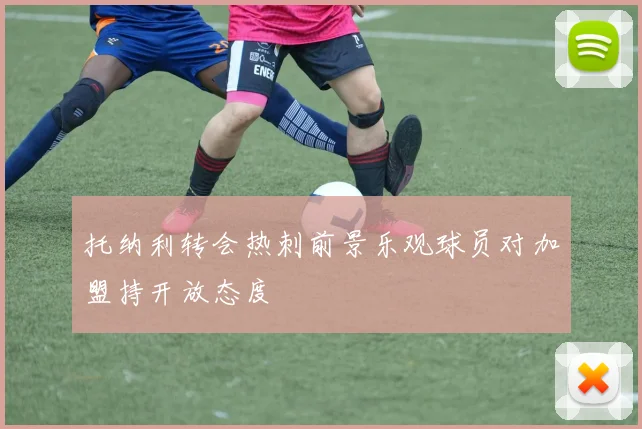 托纳利转会热刺前景乐观球员对加盟持开放态度