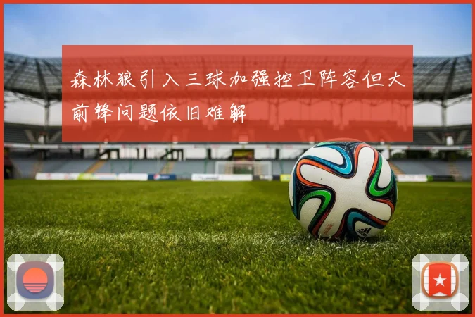 森林狼引入三球加强控卫阵容但大前锋问题依旧难解